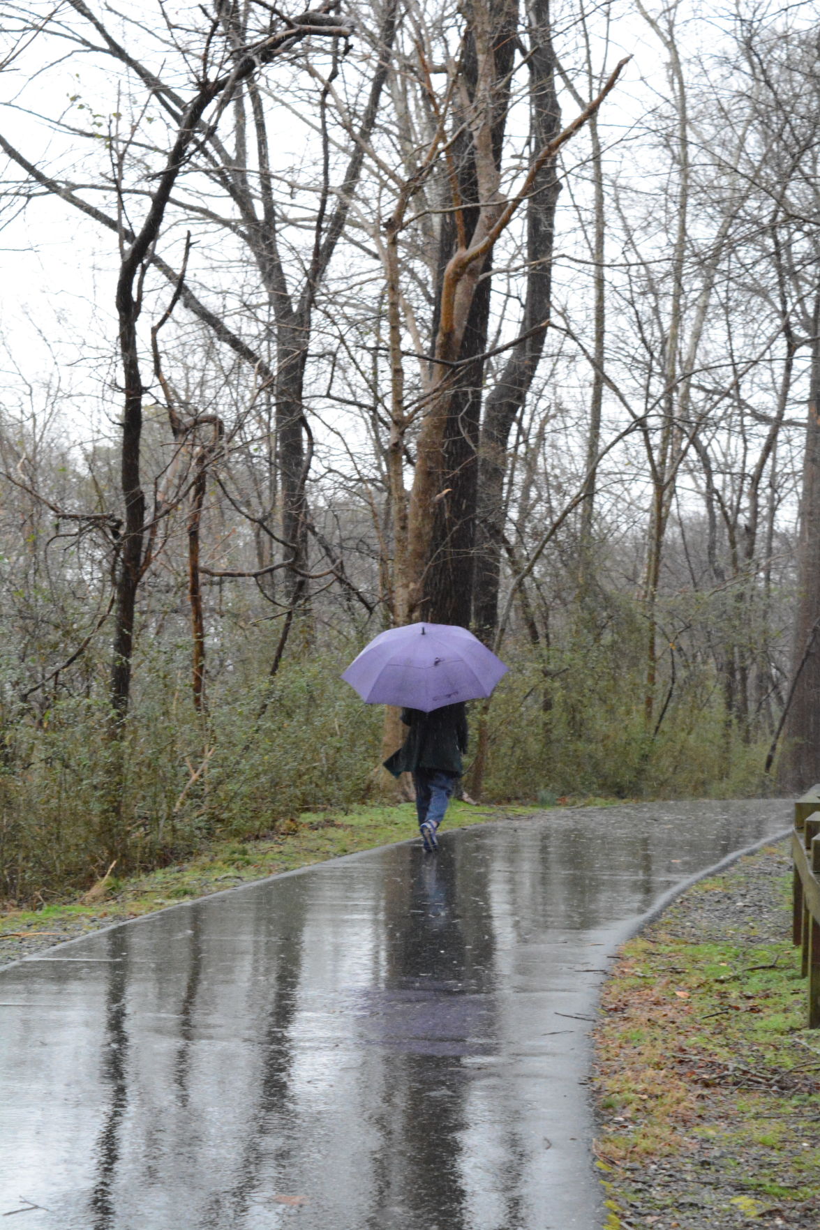 0206 CM flash flooding (1).JPG